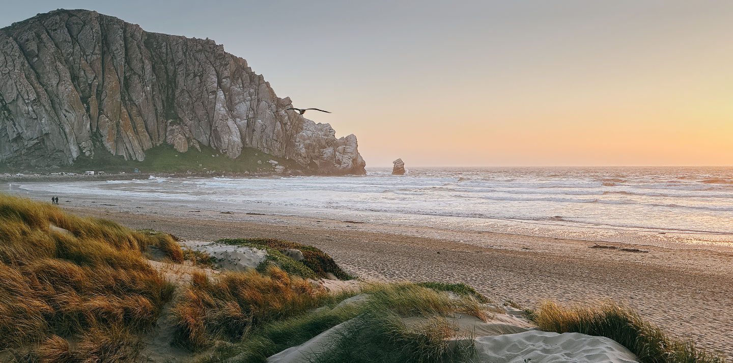 Astralis coast image