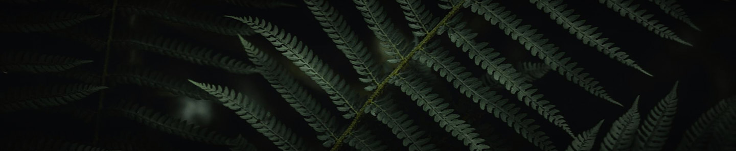 Carbon Offset Program